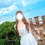 ヒメ日記 2025/11/16 20:06 投稿 設楽ここみ ウルトラブレイズ