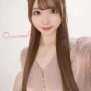 ヒメ日記 2026/02/19 15:16 投稿 設楽ここみ ウルトラブレイズ