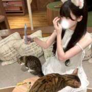 ヒメ日記 2025/08/19 09:53 投稿 ★復活のＰ【ぴぃ】★ club MUTEKI