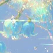 ヒメ日記 2025/08/17 15:43 投稿 ねお☆STANDARD Ribbon 1st