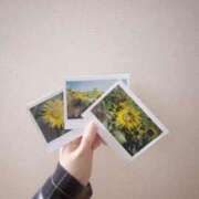 ヒメ日記 2025/08/31 02:33 投稿 ねお☆STANDARD Ribbon 1st