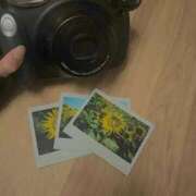 ヒメ日記 2025/09/03 20:33 投稿 ねお☆STANDARD Ribbon 1st