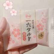 内田はな こんにちは🌷 セクシーキャット 神田店