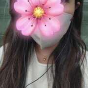 ヒメ日記 2025/10/17 09:07 投稿 千夏 昼顔妻 五反田店