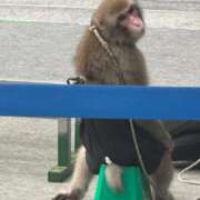 ヒメ日記 2025/09/06 14:16 投稿 夏菜 昼顔妻 五反田店