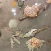 さゆ 暑くて溶けちゃう💦 モアグループ川越人妻花壇