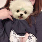 ヒメ日記 2025/11/22 17:41 投稿 ゆあ ぼいんWORK