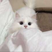 ヒメ日記 2025/08/10 01:35 投稿 なぎ if(イフ) 中村店