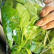 ヒメ日記 2025/09/17 15:27 投稿 にこ [優良人妻店]セレブスタイル（山口～防府～萩）