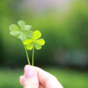 ヒメ日記 2025/07/26 16:11 投稿 ちえこ ナチュラルミセス