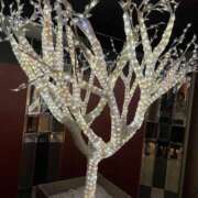 ヒメ日記 2025/09/15 16:51 投稿 ちえこ ナチュラルミセス