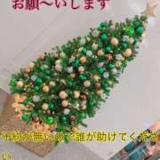 ちえこ おはようございます(⋆ᴗ͈ˬᴗ͈)” ナチュラルミセス