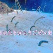 ちえこ 昨日はありがとうございました(⋆ᴗ͈ˬᴗ͈)” ナチュラルミセス