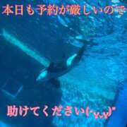 ヒメ日記 2025/12/15 20:11 投稿 ちえこ ナチュラルミセス
