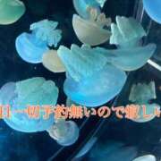 ヒメ日記 2026/01/11 17:51 投稿 ちえこ ナチュラルミセス