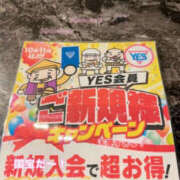 ヒメ日記 2025/11/16 12:00 投稿 武井ひな YESグループ水戸　華女