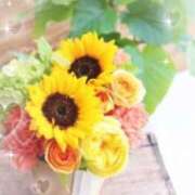 ヒメ日記 2025/07/24 12:40 投稿 槙野まほ 五十路マダム　和歌山店