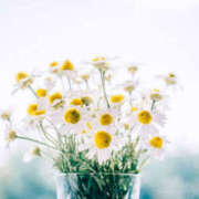 槙野まほ 本日10時より出勤します 五十路マダム　和歌山店