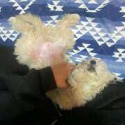 ヒメ日記 2026/02/16 18:52 投稿 すい 奈良橿原大和高田ちゃんこ