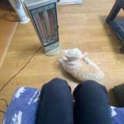 ヒメ日記 2026/03/18 10:06 投稿 すい 奈良橿原大和高田ちゃんこ