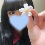 ヒメ日記 2025/08/02 00:16 投稿 みくりん イクイクサークル鶯谷店