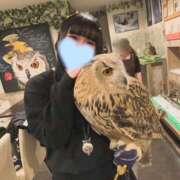 ヒメ日記 2026/03/20 13:36 投稿 みくりん イクイクサークル鶯谷店