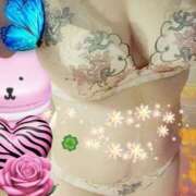 ヒメ日記 2025/07/24 14:32 投稿 浦沢えな 五十路マダム 博多店