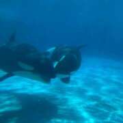 ヒメ日記 2025/09/27 18:19 投稿 ひなの アドミsince2002立川デリヘル&Go To FANTASY東京本店