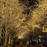 ひなの 12/3 本指Nさんへ🕊💌 アドミsince2002立川デリヘル&Go To FANTASY東京本店