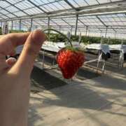 ヒメ日記 2026/01/19 17:30 投稿 ひなの アドミsince2002立川デリヘル&Go To FANTASY東京本店