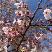 ヒメ日記 2026/03/16 20:03 投稿 ひなの アドミsince2002立川デリヘル&Go To FANTASY東京本店