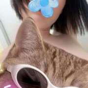 ヒメ日記 2025/07/28 09:04 投稿 せな 濃厚即19妻