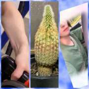 ヒメ日記 2025/09/07 07:49 投稿 せな 濃厚即19妻