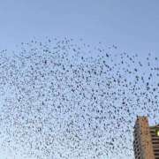 ヒメ日記 2025/09/27 12:22 投稿 せな 濃厚即19妻