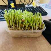 ヒメ日記 2025/09/27 21:44 投稿 せな 濃厚即19妻