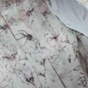 ヒメ日記 2025/09/28 11:54 投稿 せな 濃厚即19妻