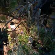 ヒメ日記 2025/09/28 21:15 投稿 せな 濃厚即19妻