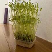 ヒメ日記 2025/10/04 10:34 投稿 せな 濃厚即19妻