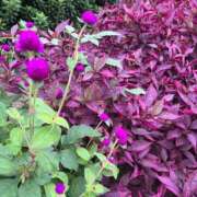 ヒメ日記 2025/10/07 17:34 投稿 せな 濃厚即19妻