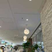 ヒメ日記 2025/10/10 06:04 投稿 せな 濃厚即19妻