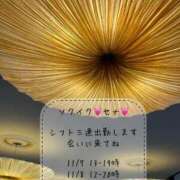 ヒメ日記 2025/11/06 06:34 投稿 せな 濃厚即19妻