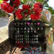 ヒメ日記 2025/11/07 06:04 投稿 せな 濃厚即19妻