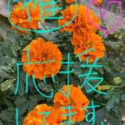 ヒメ日記 2025/11/20 02:44 投稿 せな 濃厚即19妻