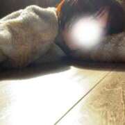 ヒメ日記 2026/02/22 14:10 投稿 せな 濃厚即19妻