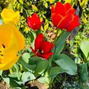 ヒメ日記 2026/03/29 01:24 投稿 せな 濃厚即19妻