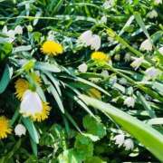 ヒメ日記 2026/04/03 14:54 投稿 せな 濃厚即19妻