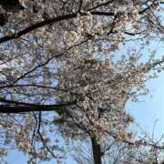 ヒメ日記 2026/04/12 19:22 投稿 せな 濃厚即19妻