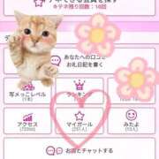 ヒメ日記 2025/09/03 08:06 投稿 鷹見 熟女の風俗最終章 新横浜店