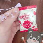 ヒメ日記 2026/01/20 08:16 投稿 鷹見 熟女の風俗最終章 新横浜店