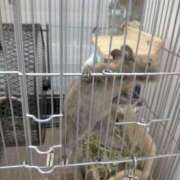 ヒメ日記 2026/02/17 17:46 投稿 鷹見 熟女の風俗最終章 新横浜店